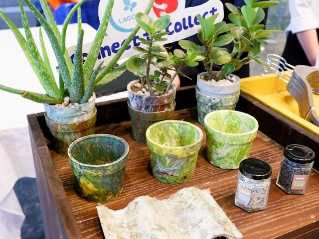 jane-dang-l3OJl5iF7Hw-unsplash