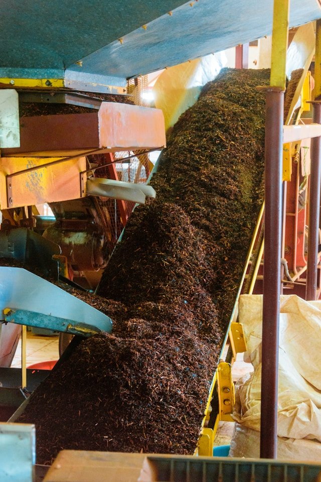 job-savelsberg-iw9mNUO0ET8-unsplash